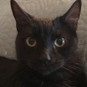 Meet your Posher, Jill